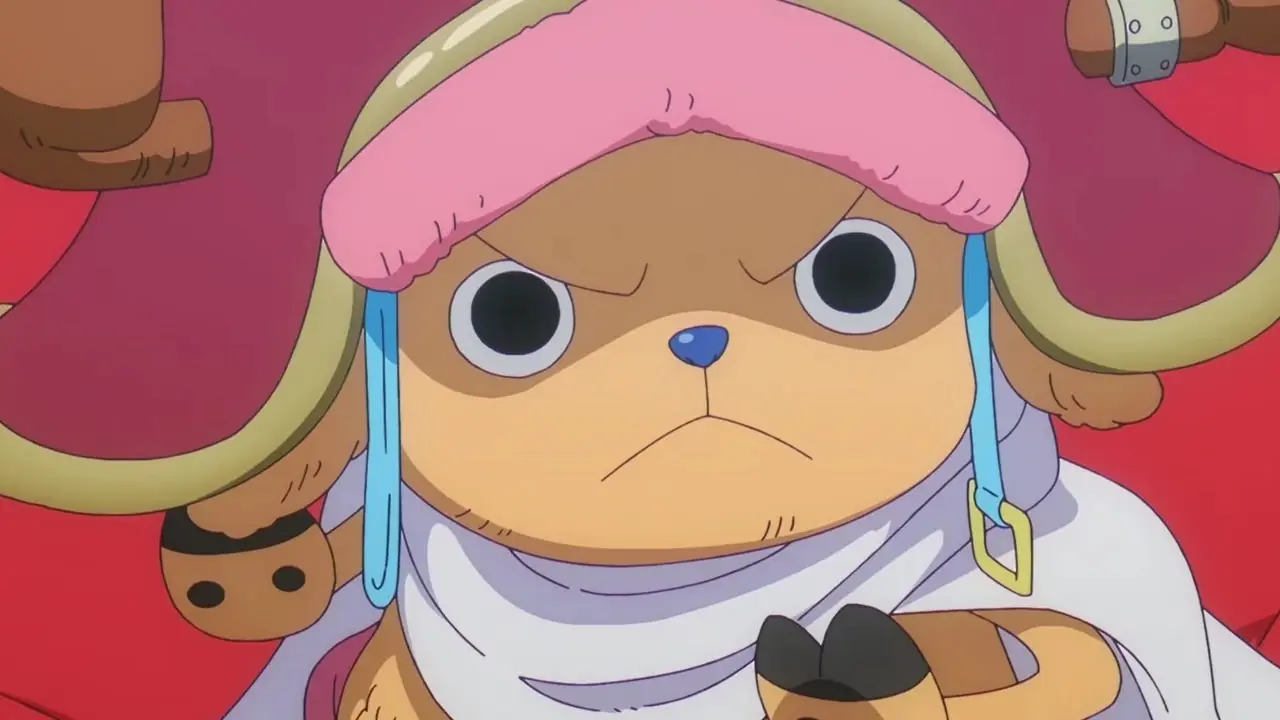 Chopper Hardworking Pirates einteilig Chopper Hardworking Pirates einteilig