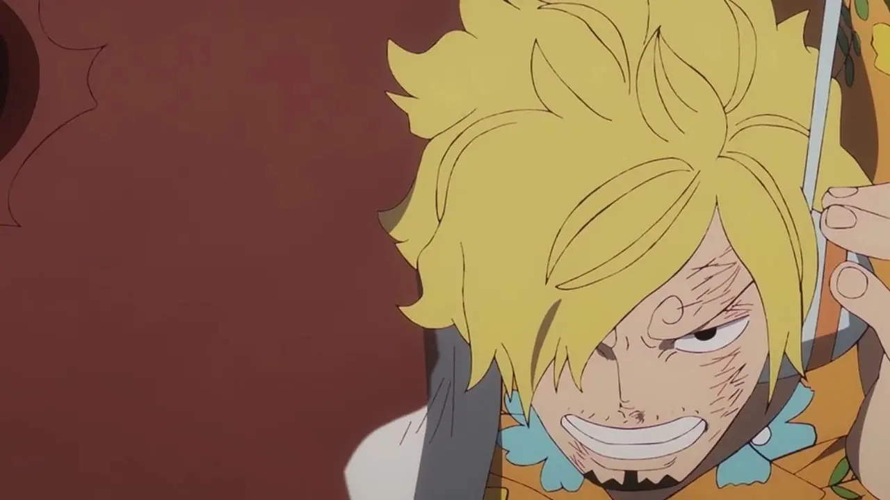 sanji Pracowici piraci, jednoczęściowy