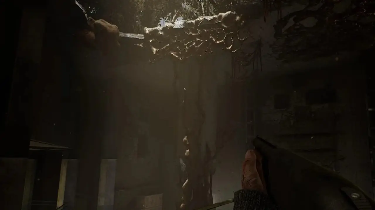 Función FPS