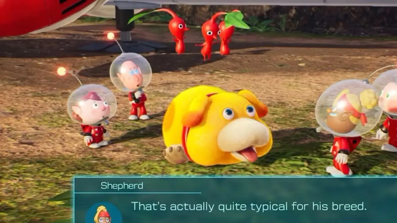 Pikmin 4 - Edición Nintendo Switch 2 + Imagen de prensa de la Academia Dandori 1