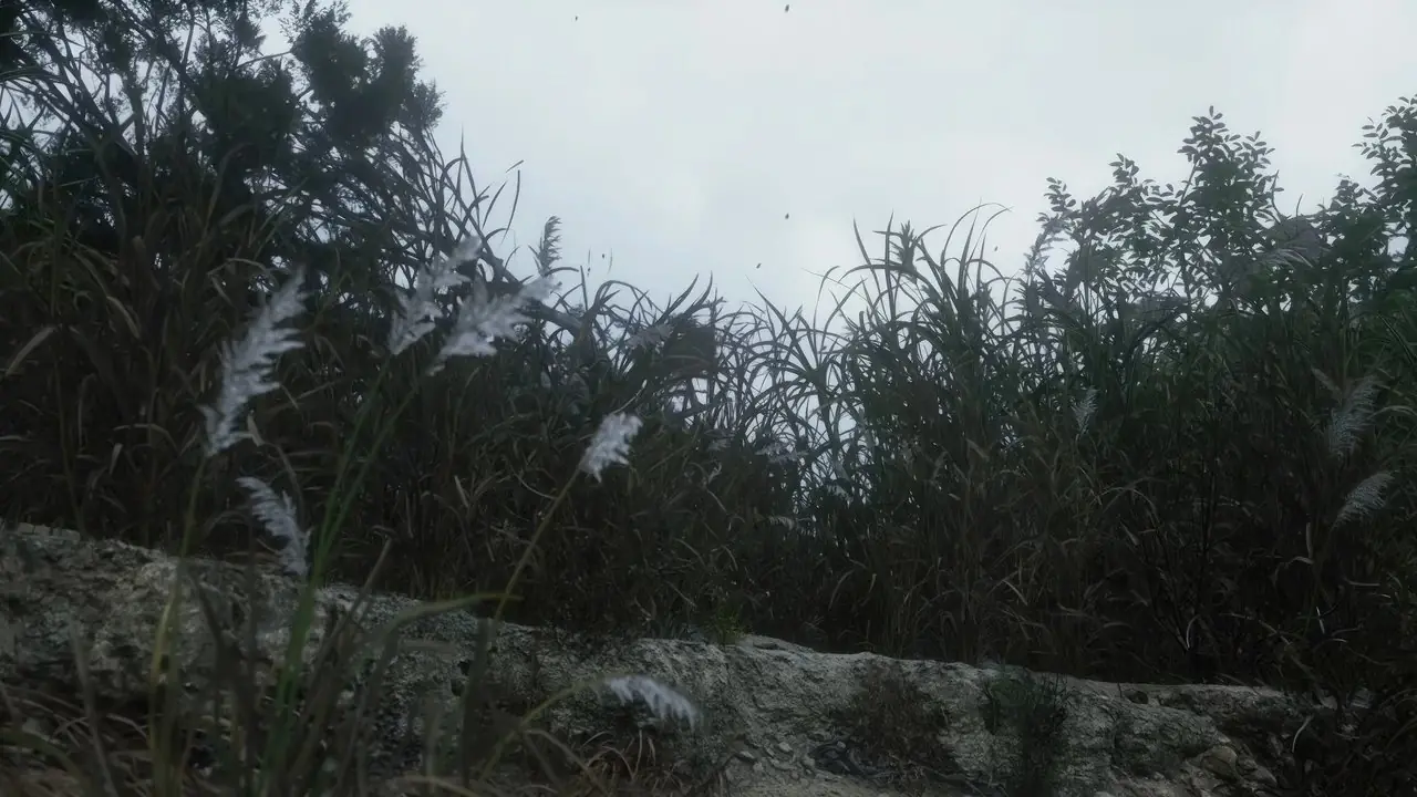 黒神話悟空白狼のボス