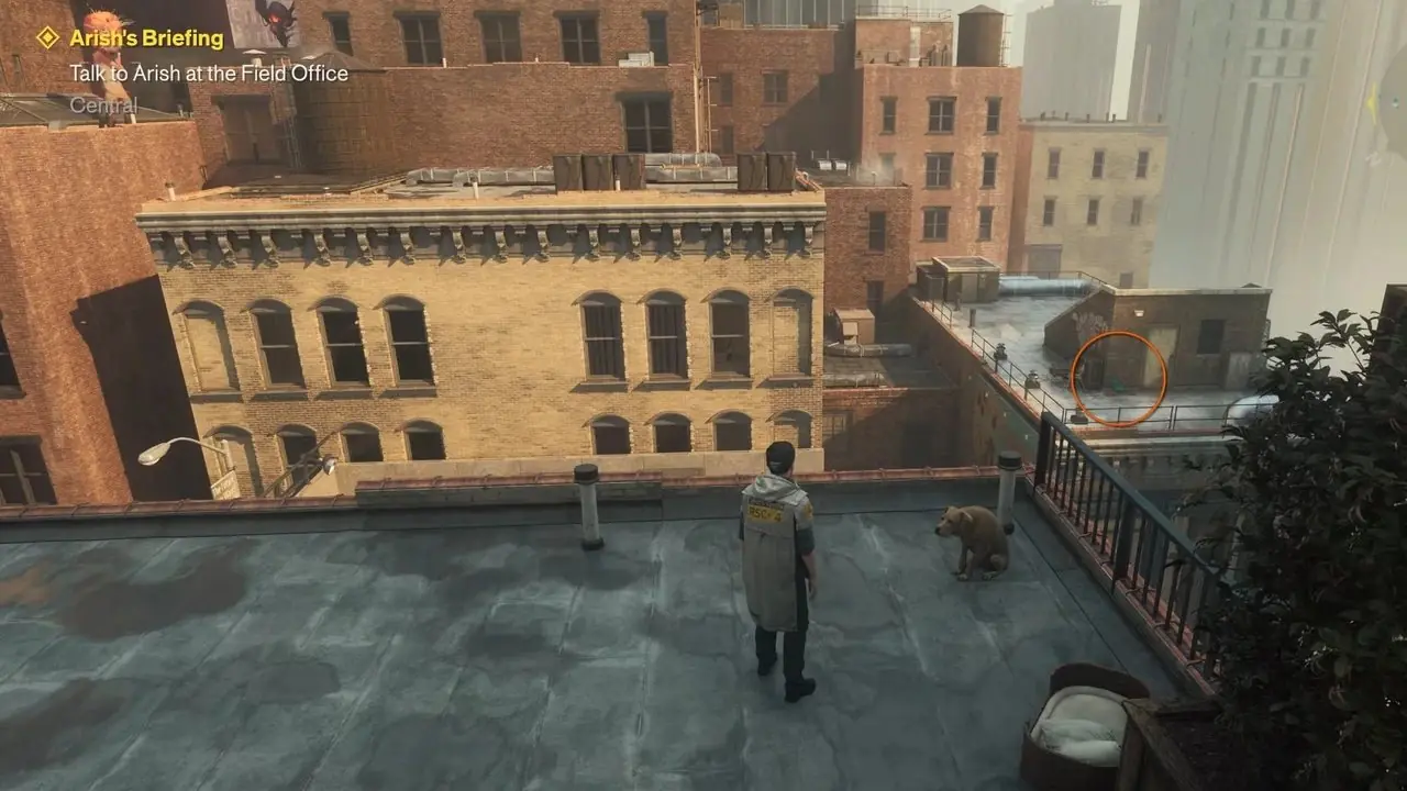Downtown Dog's Toy Location Control Resonant