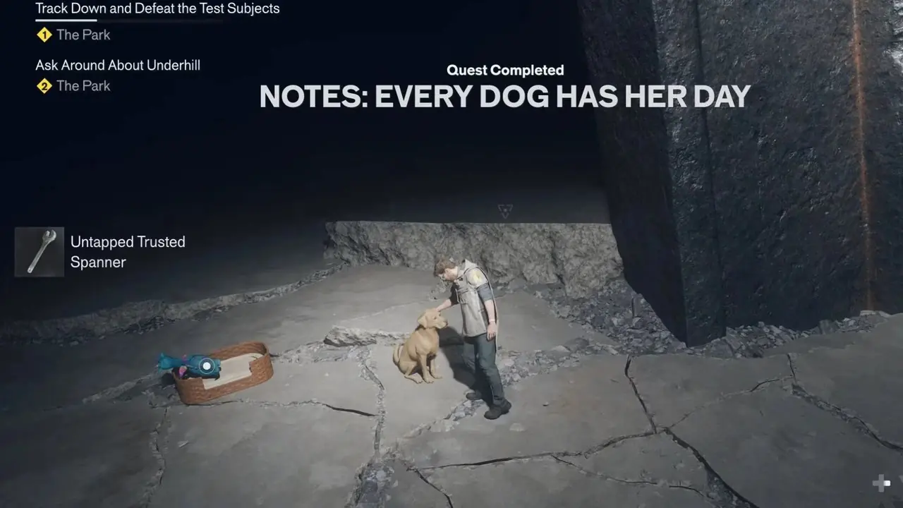Chaque chien a sa journée Contrôle total Résonant