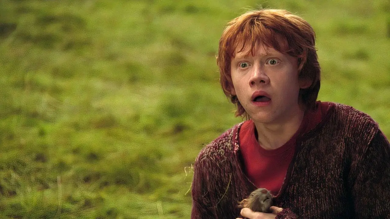 Uma imagem dividida de Harry e Ron Weasley nos filmes e Harry Potter no programa de TV da HBO