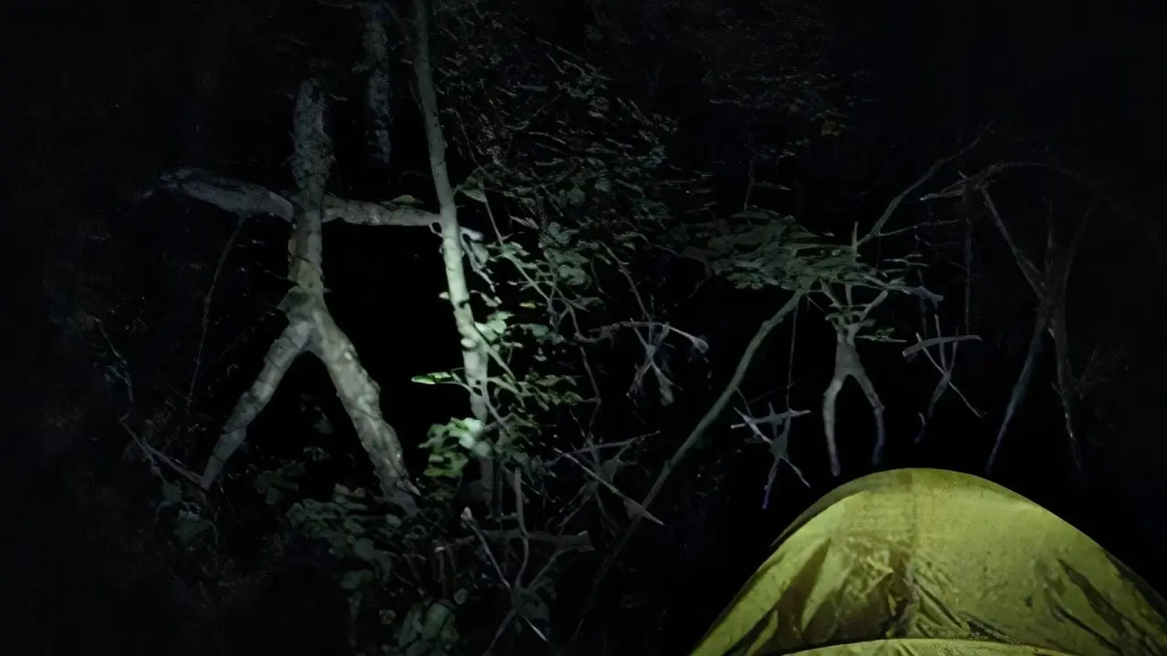 El bosque en el Proyecto Blair Witch