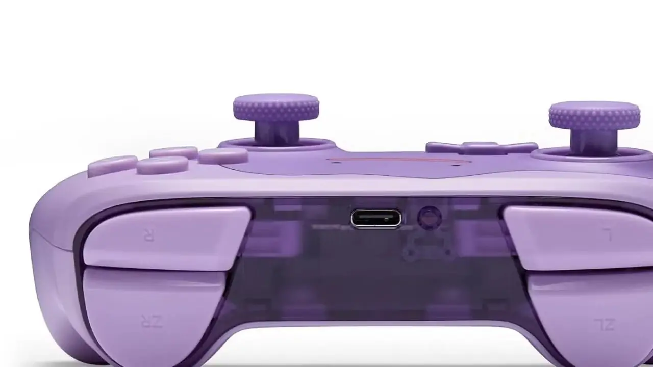 Nintendo Switch 2 Ditto-controller