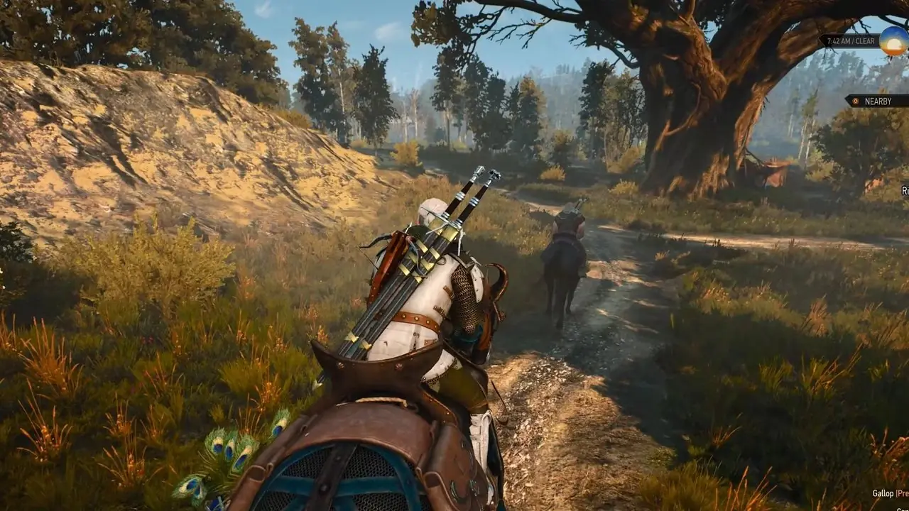 The Witcher 3: Ghosts of the Past: Komplettlösung mit allen Optionen 2