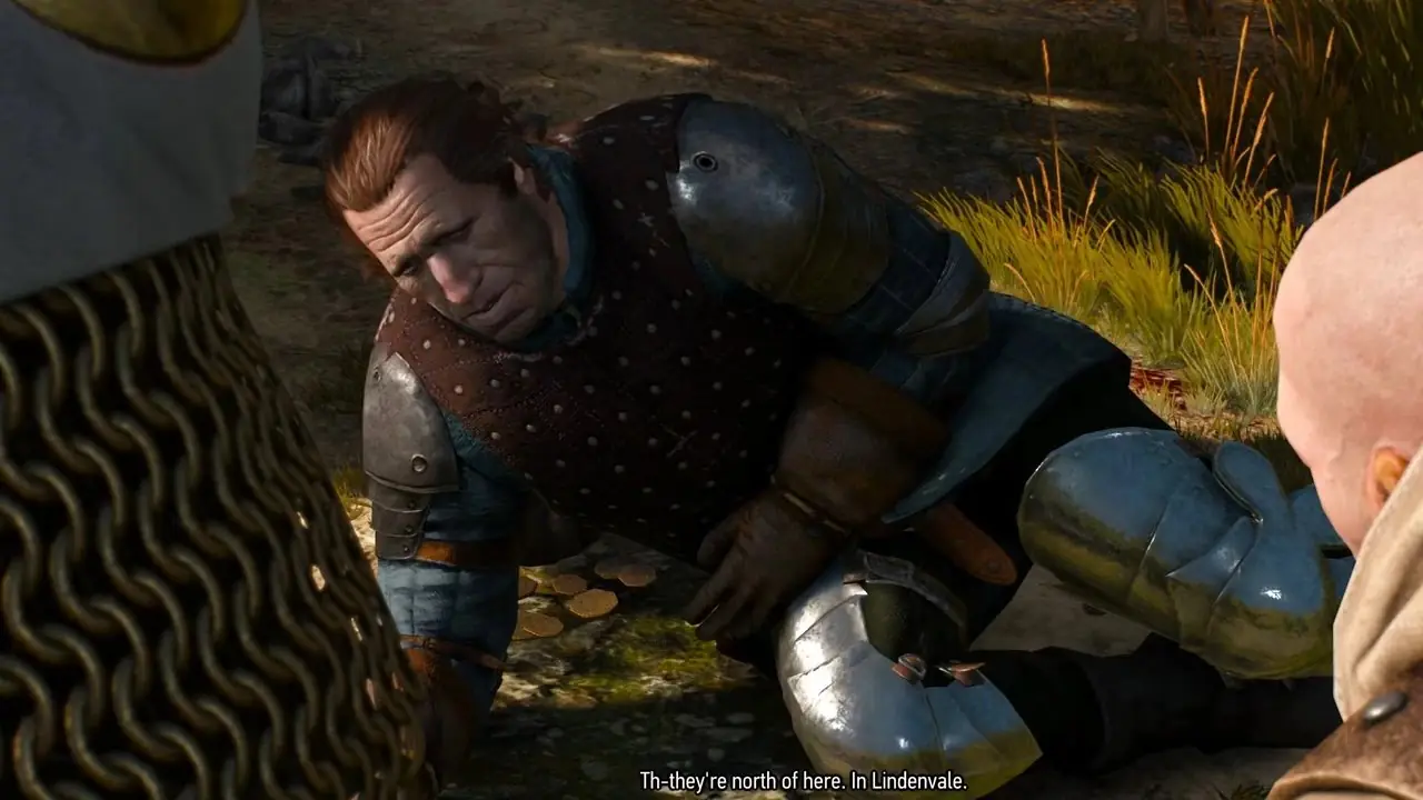 Witcher 3의 과거 연습의 유령 (15)